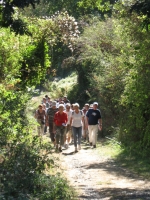 Le tract