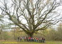 Le tract