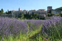 Le tract