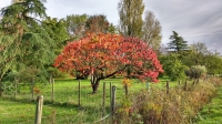 Le tract